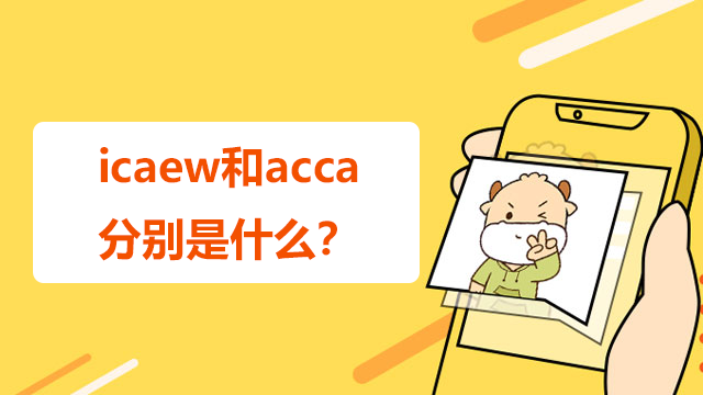 icaew和acca分別是什么？